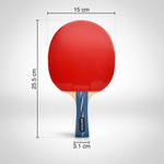 Table tennis racket Meteor Jet Stream*****