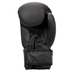 Boxing Gloves Meteor 12 oz training, hook-and-loop strap, PU