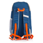 Cooler backpack Meteor Arctic 20 l blue/grey