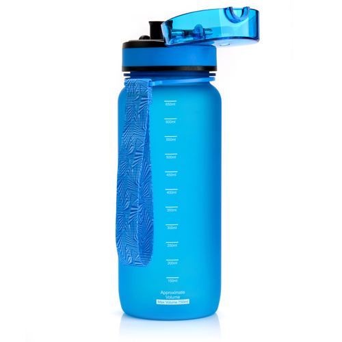 Sports water bottle Meteor 650 ml blue