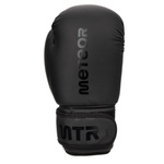 Boxhandschuhe Meteor 8 oz Training, Klettverschluss, PU