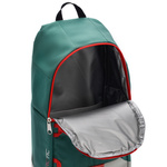 Cooler backpack Meteor Arctic 10 l red/green