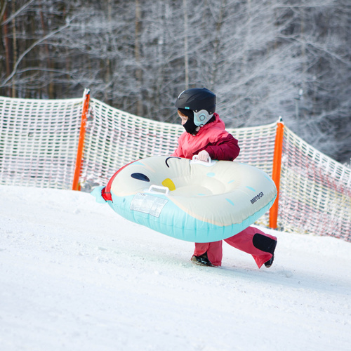 Ślizg śnieżny Owl