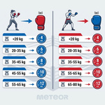Boxing Gloves Meteor 12 oz training, hook-and-loop strap, PU