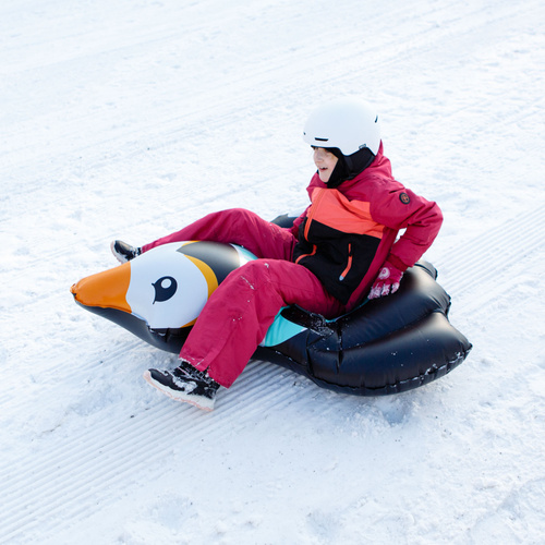 Snow tube Meteor Penguin black/mint